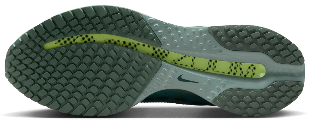 Nike Pegasus Premium