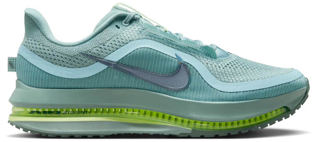 Nike Pegasus Premium